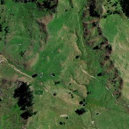 Satellite imagery of PUKEKIEKIE, NZ
