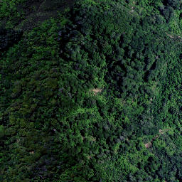 Satellite imagery of PAEHERE NO 2, NZ