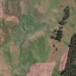 Satellite imagery of WHANGAMATA ROAD, NZ