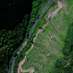 Satellite imagery of 9152, NZ