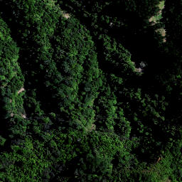 Satellite imagery of 1564 PAPAKAURI, NZ
