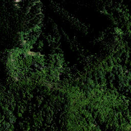 Satellite imagery of 1564 PAPAKAURI, NZ