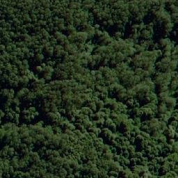 Satellite imagery of Groves Hill, AU