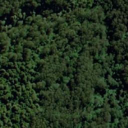 Satellite imagery of Groves Hill, AU
