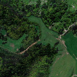 Satellite imagery of 9152, NZ