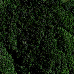 Satellite imagery of 1564 PAPAKAURI, NZ