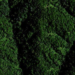 Satellite imagery of 1564 PAPAKAURI, NZ