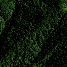 Satellite imagery of 1564 PAPAKAURI, NZ