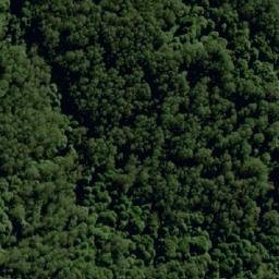 Satellite imagery of Groves Hill, AU