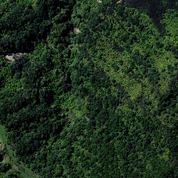 Satellite imagery of 9154, NZ