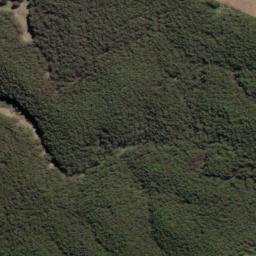 Satellite imagery of 2007, NZ