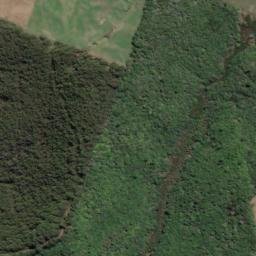 Satellite imagery of 2007, NZ