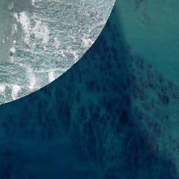 Satellite imagery of Turihaua Point, NZ