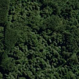 Satellite imagery of Websters Hill, AU