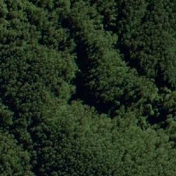Satellite imagery of Groves Hill, AU