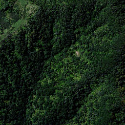 Satellite imagery of 9154, NZ