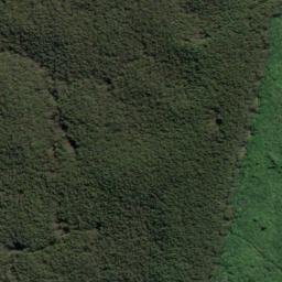 Satellite imagery of 2007, NZ