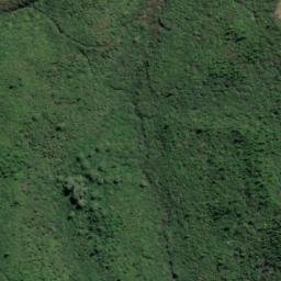 Satellite imagery of 2007, NZ