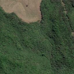 Satellite imagery of 2007, NZ