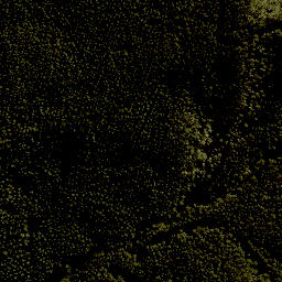 Satellite imagery of 1383 TANGITU, NZ