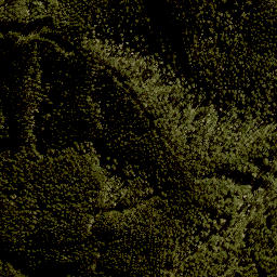 Satellite imagery of 1383 TANGITU, NZ