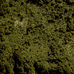 Satellite imagery of 1383 TANGITU, NZ