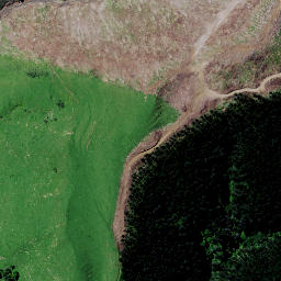 Satellite imagery of 9151, NZ