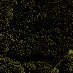 Satellite imagery of 1383 TANGITU, NZ