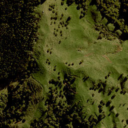 Satellite imagery of 1383 TANGITU, NZ