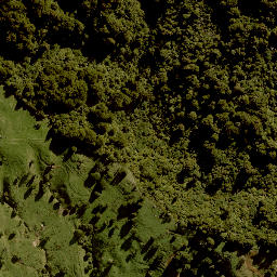 Satellite imagery of 1383 TANGITU, NZ