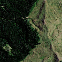 Satellite imagery of 9161, NZ