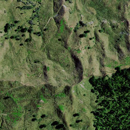 Satellite imagery of 9161, NZ
