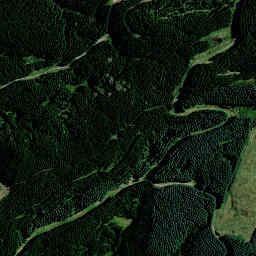 Satellite imagery of 9161, NZ