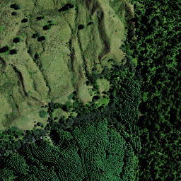Satellite imagery of 9161, NZ