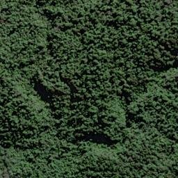 Satellite imagery of 2009 TE KAUWAE, NZ