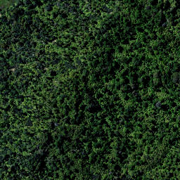 Satellite imagery of 9181, NZ
