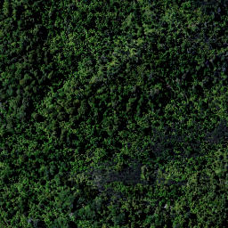 Satellite imagery of 9181, NZ