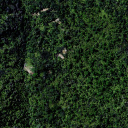 Satellite imagery of 9181, NZ