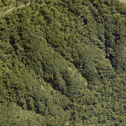 Satellite imagery of TATARA NO 2, NZ