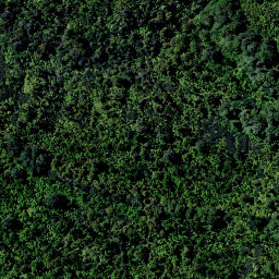 Satellite imagery of 9181, NZ