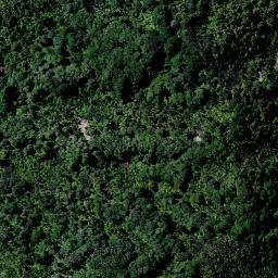 Satellite imagery of 9181, NZ