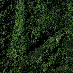Satellite imagery of 9181, NZ