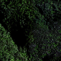 Satellite imagery of OHINEWHIRO, NZ