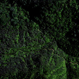 Satellite imagery of OHINEWHIRO, NZ
