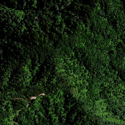 Satellite imagery of OHINEWHIRO, NZ