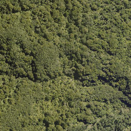 Satellite imagery of TATARA NO 2, NZ