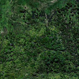 Satellite imagery of PAHAOA, NZ
