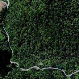 Satellite imagery of 9175, NZ