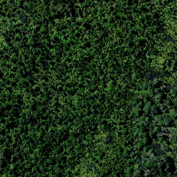 Satellite imagery of 9181, NZ