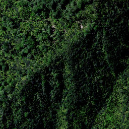 Satellite imagery of 9181, NZ